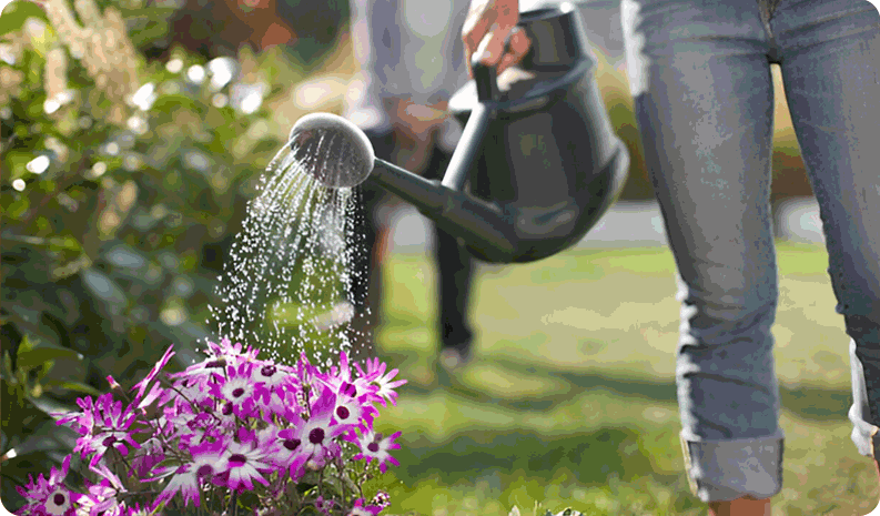 Water Conditioner Image