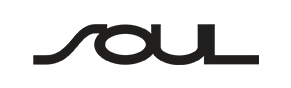 Soul EV Chargers